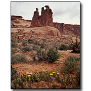 Three Gossips in Arches NP