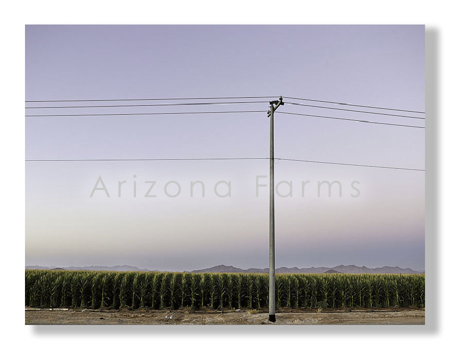 Arizona Farms.
