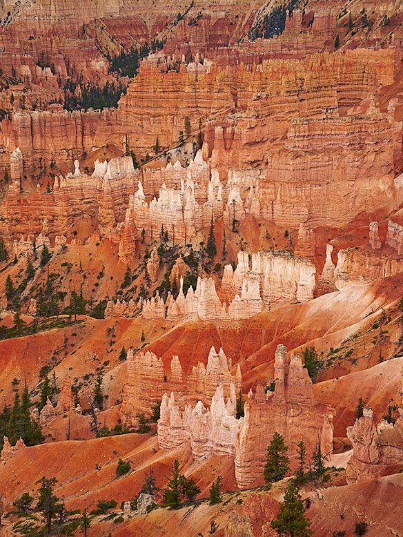 Photo of white hoodoos that provide a sharp constrast with the pinkish background at Bryce Canyon.