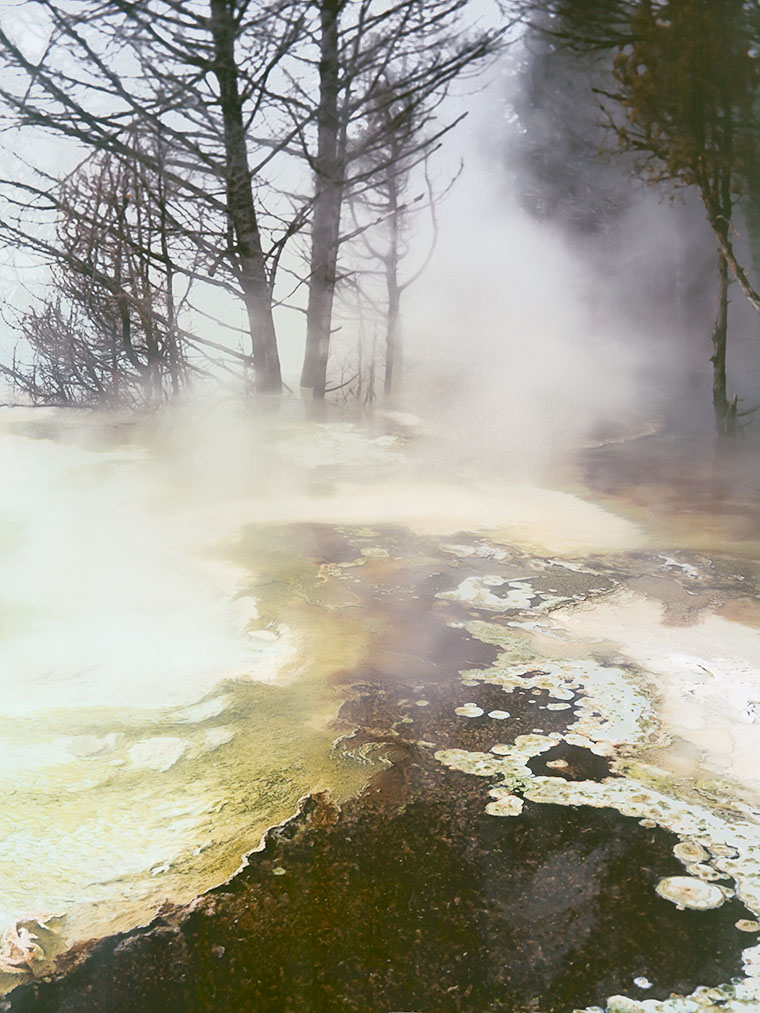 Steam rising from hot pool at Mamoth Hot Springs in Yellowston National Park.