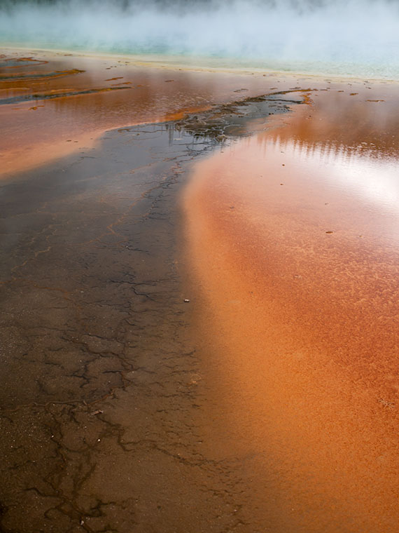 One of Yellowstone's hot springs flowing between mats of Red Algae.
