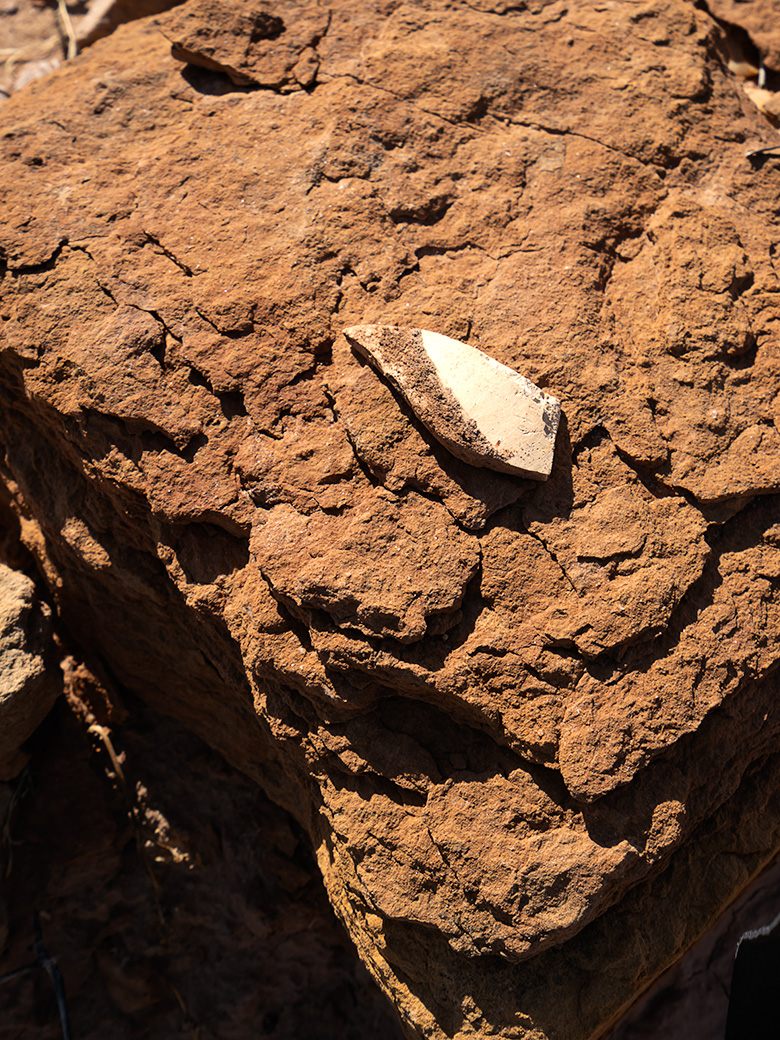 A solitary pottery shard from ancient Puebloan culture, found resting on a rock surface in Homolovi State Park.