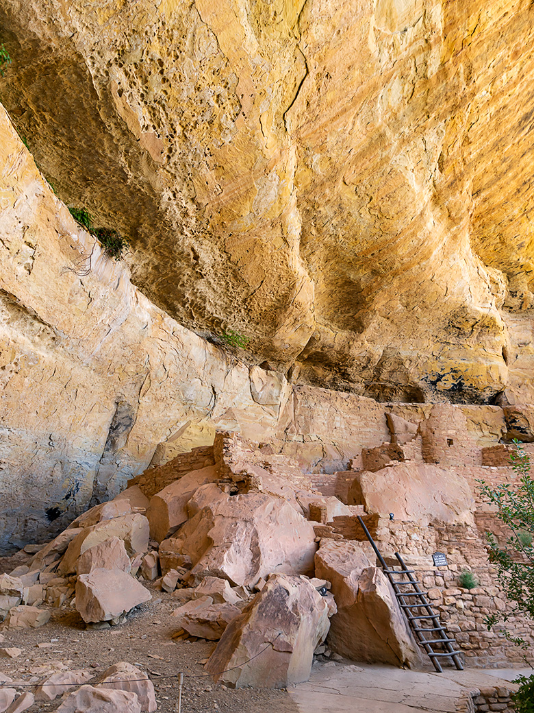 A rustic ladder leading to the Step House Ruins, set against the grand, weathered cliff walls of Mesa Verde National Park.