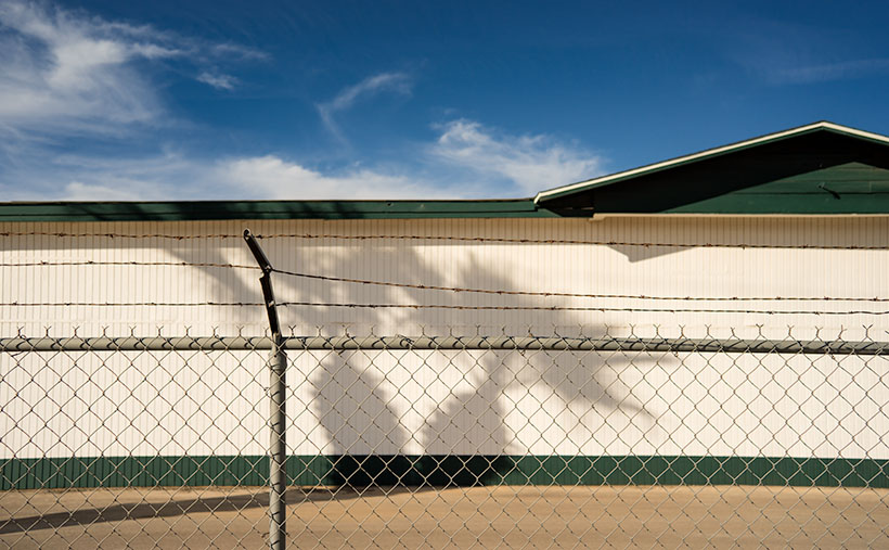 A shadow of a plam tree cast on the side of the Robson Honey Warehouse in Aguila Arizona.