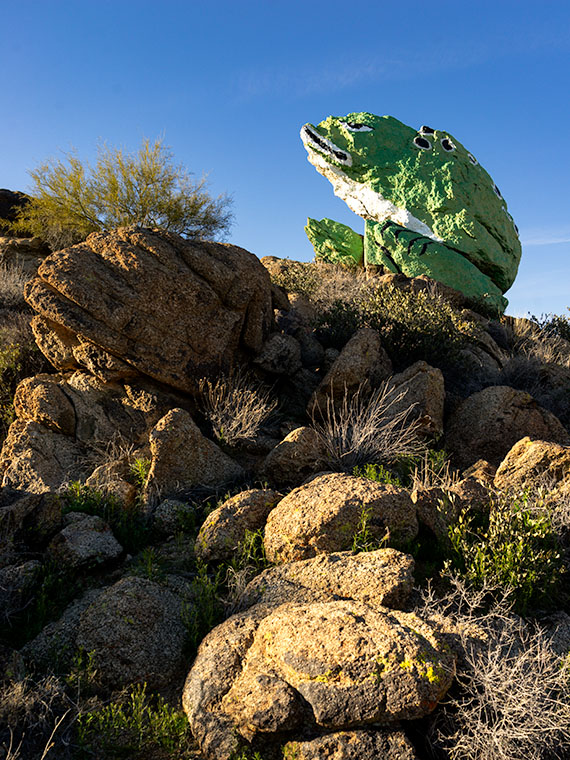 Frog Rock