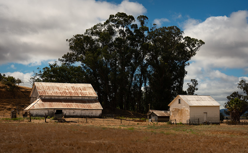 Rustic white barns in a scenic countryside landscape on the road from Sonoma to Calaveras, California