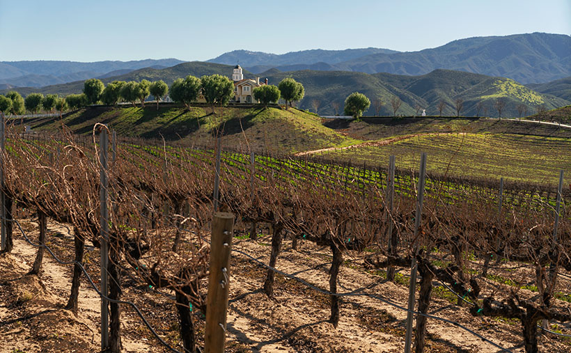 Morgan Estate in Temecula Wine Country with dormant vineyards in the foreground, January 2023