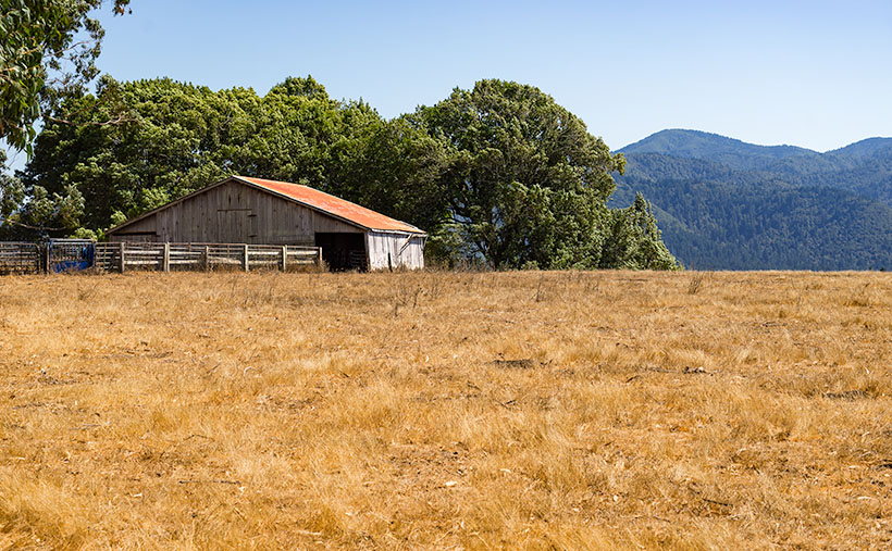 An old wooden barn at the edge of a golden field near Petrolia, California.