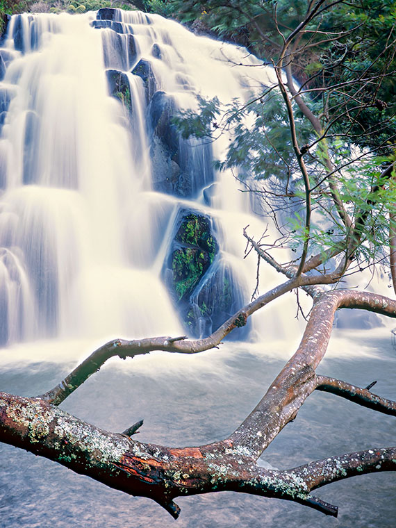 A tiered water fall along the road to the Coromandel Peninsula on New Zealand's North Island.
