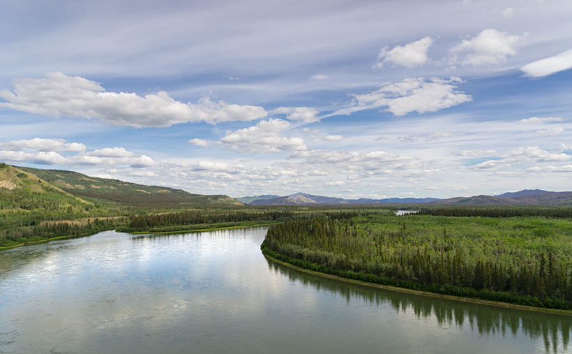 The Yukon River flows around a bend at Carmacks on its way to the Artic Sea.
