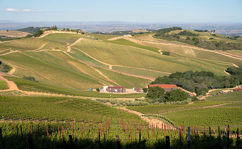 A panoramic view of rolling vineyard hills under a clear sky from the DAOU Vineyards tasting room in Paso Robles, photographed by Jim Witkowski.