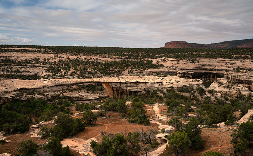View of Owachomo Bridge from the canyon rim in Natural Bridges National Monument