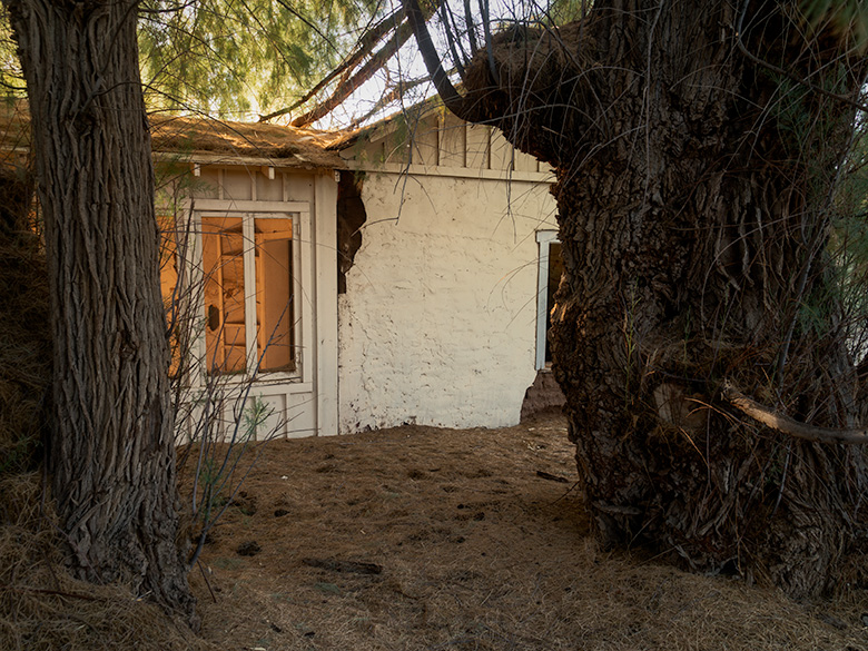 East side of historic adobe homestead at Palmerita Ranch shaded by two large tamarisk trees.