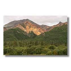Erosion uncovering soil with iron content makes a copper color near Glenallen, Alaska.
