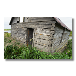 An abandoned log cabin found in Ninilchick Bay on the Kenai Pennensulia in Alaska.