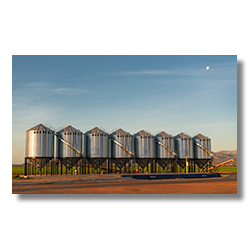 Eight new grain silos gleam in the sunrise near Aguila, Arizona