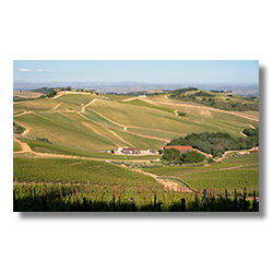 A panoramic view of rolling vineyard hills under a clear sky from the DAOU Vineyards tasting room in Paso Robles.