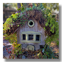 Weathered birdhouse with a roof of succulents and moss, blending into a garden at Cambria Pines Lodge.