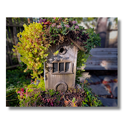 birdhouwe2