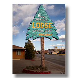 Vintage Blue Spruce Lodge sign in Gallup, New Mexico on Route 66