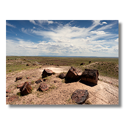 Colorful petrified wood logs under a dramatic sky at Petrified Forest's Rainbow Room with the White Mountains on the horizon