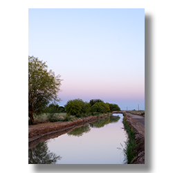 The sun is about to rise over an irragation canal in Buckeye, Arizona.