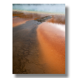 One of Yellowstone's hot springs flowing through a field of red algae.